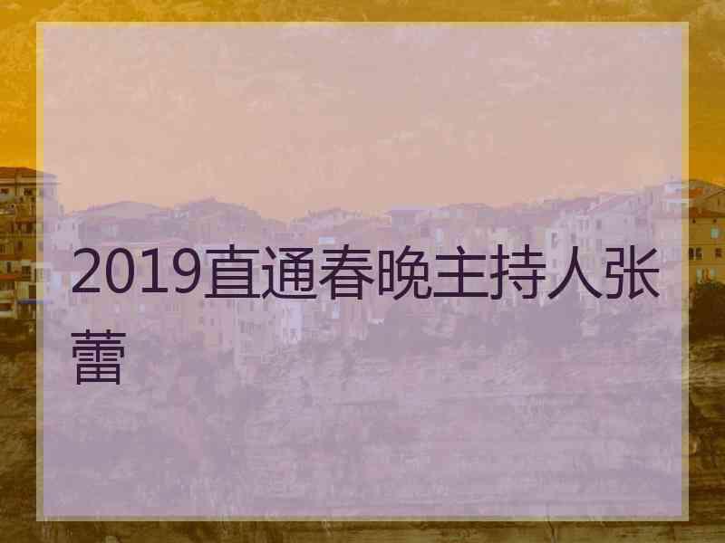 2019直通春晚主持人张蕾