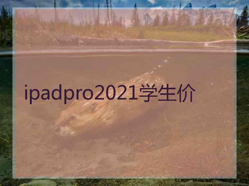 ipadpro2021学生价