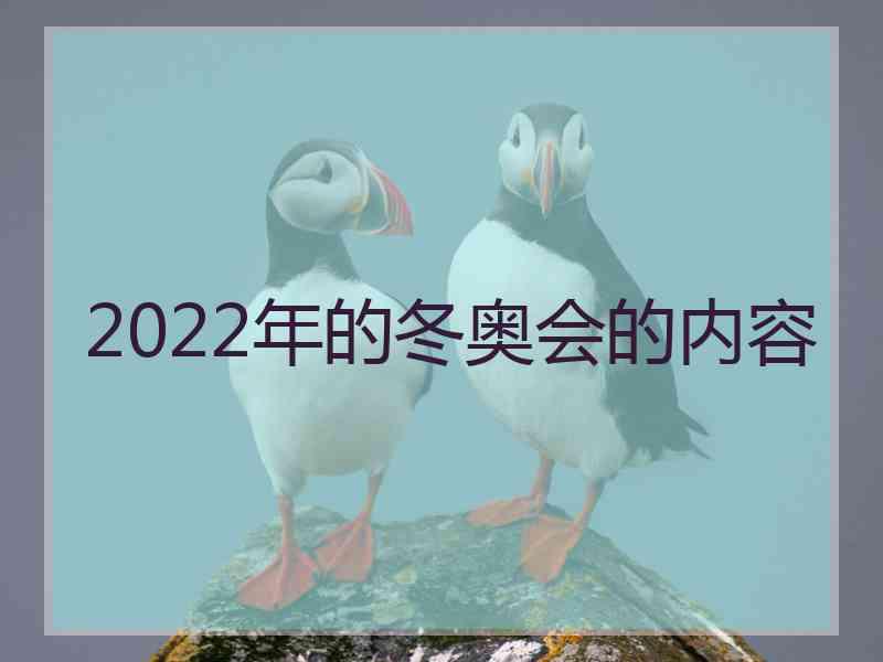 2022年的冬奥会的内容