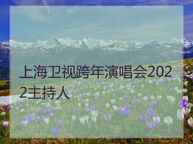 上海卫视跨年演唱会2022主持人