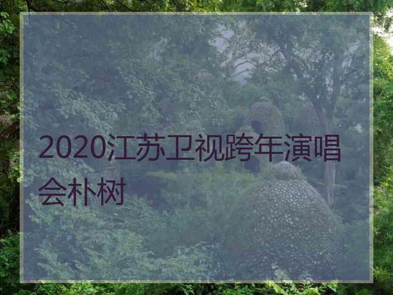 2020江苏卫视跨年演唱会朴树