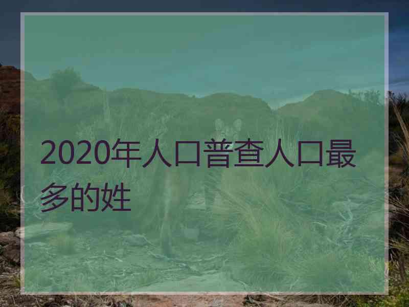 2020年人口普查人口最多的姓