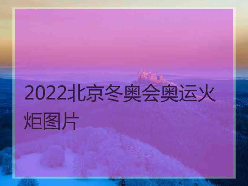 2022北京冬奥会奥运火炬图片