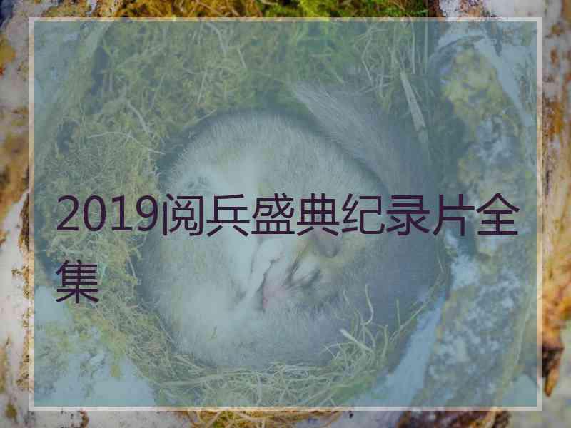 2019阅兵盛典纪录片全集