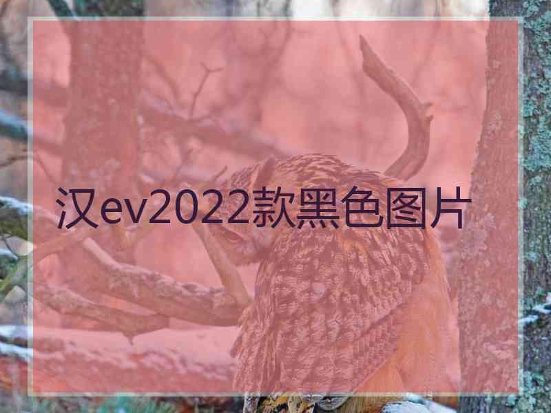 汉ev2022款黑色图片