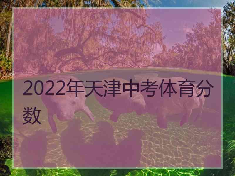 2022年天津中考体育分数