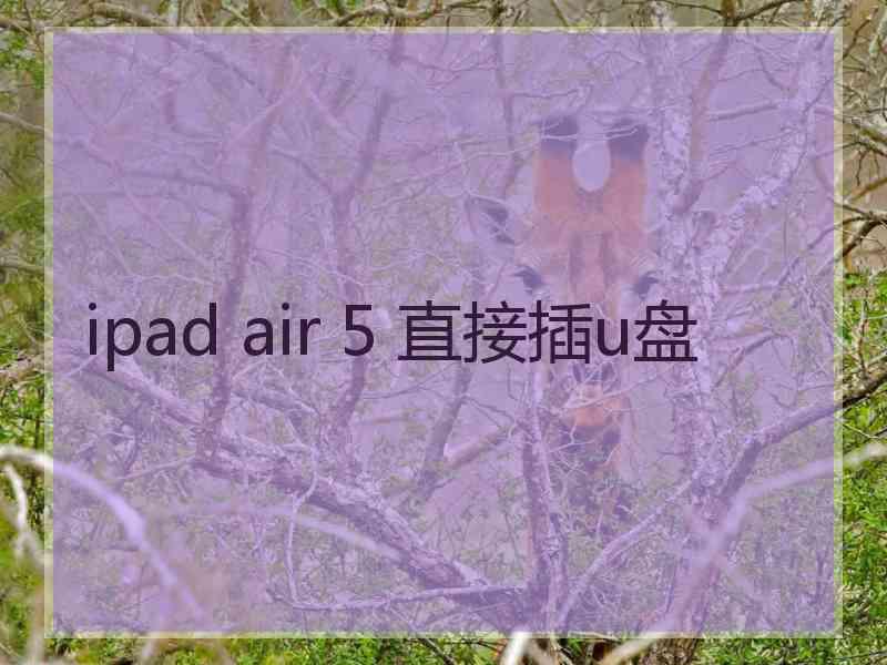 ipad air 5 直接插u盘