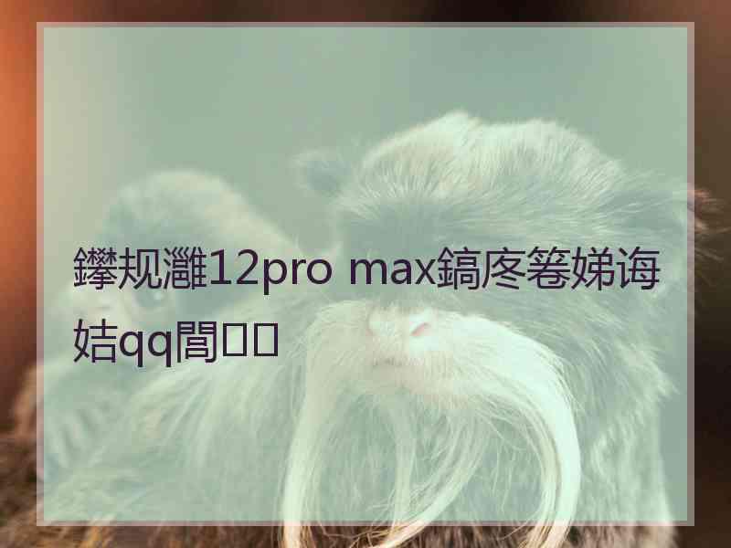 鑻规灉12pro max鎬庝箞娣诲姞qq閭