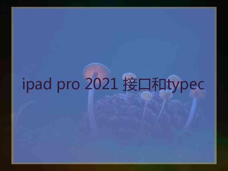 ipad pro 2021 接口和typec