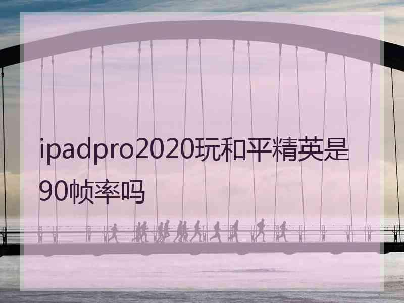 ipadpro2020玩和平精英是90帧率吗