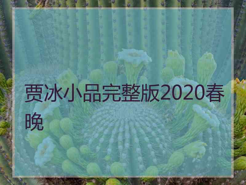 贾冰小品完整版2020春晚