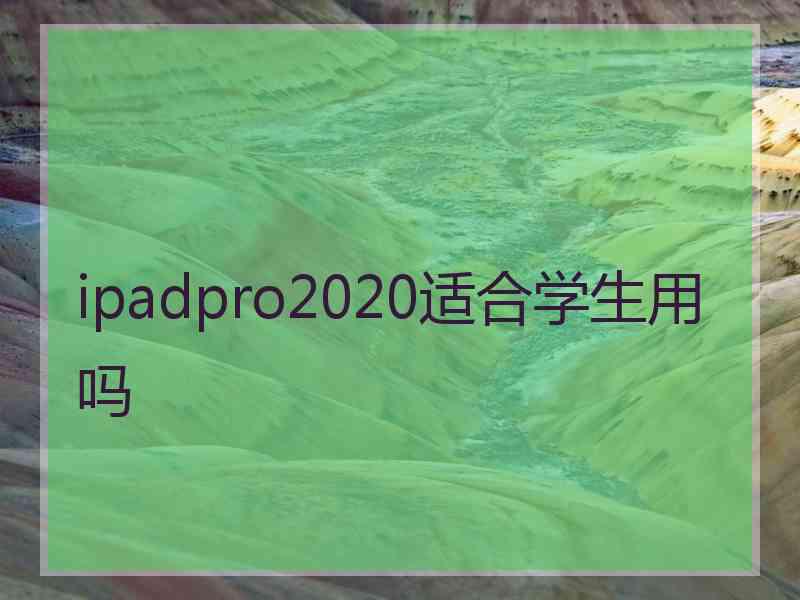 ipadpro2020适合学生用吗