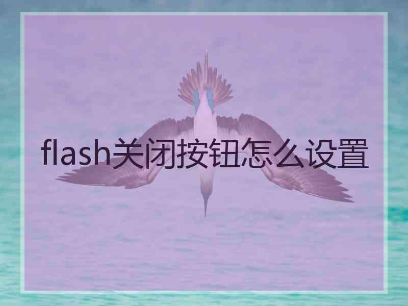 flash关闭按钮怎么设置