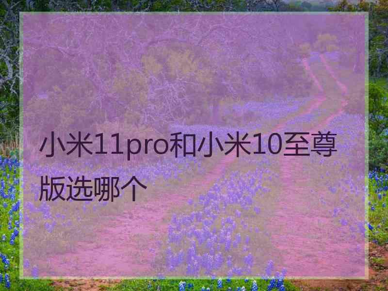 小米11pro和小米10至尊版选哪个