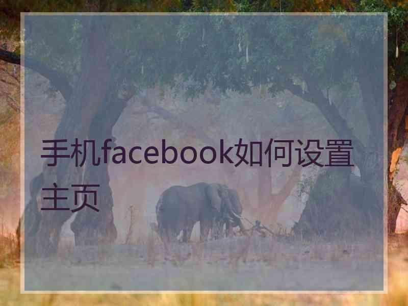 手机facebook如何设置主页