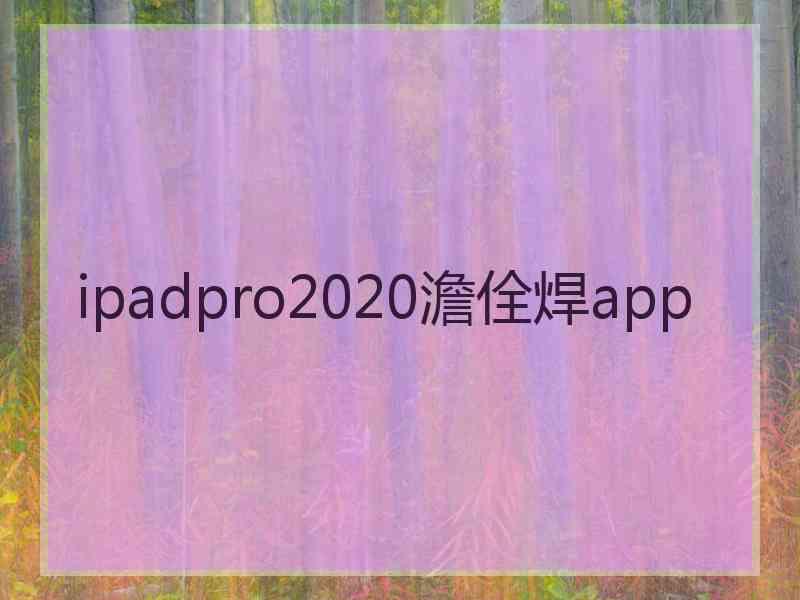 ipadpro2020澹佺焊app