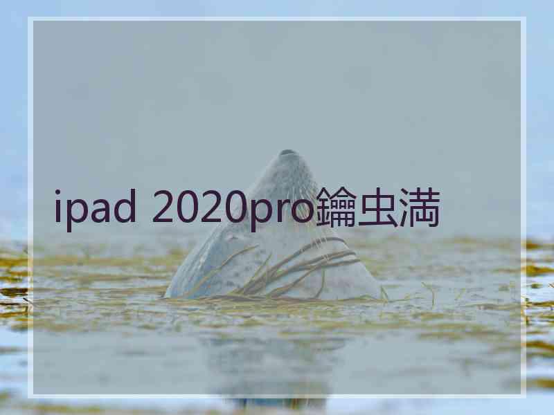 ipad 2020pro鑰虫満