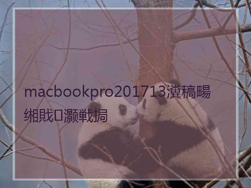 macbookpro201713瀵稿畼缃戝灏戦挶