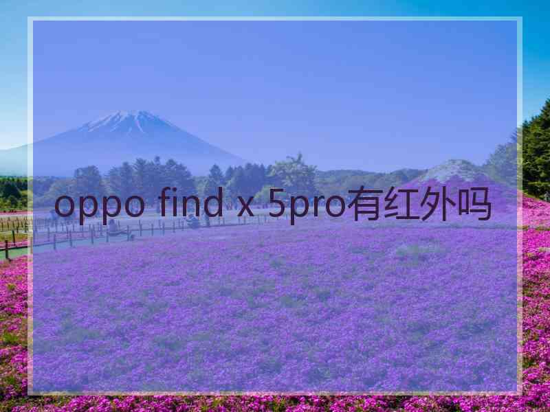 oppo find x 5pro有红外吗