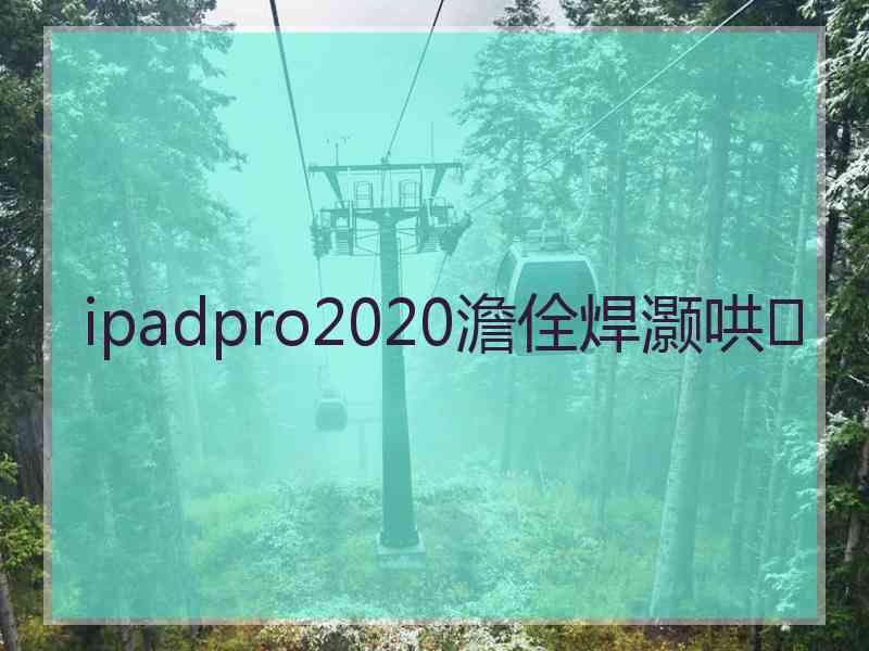 ipadpro2020澹佺焊灏哄