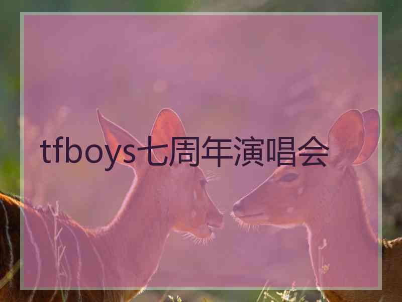 tfboys七周年演唱会