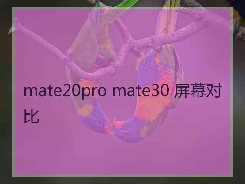 mate20pro mate30 屏幕对比