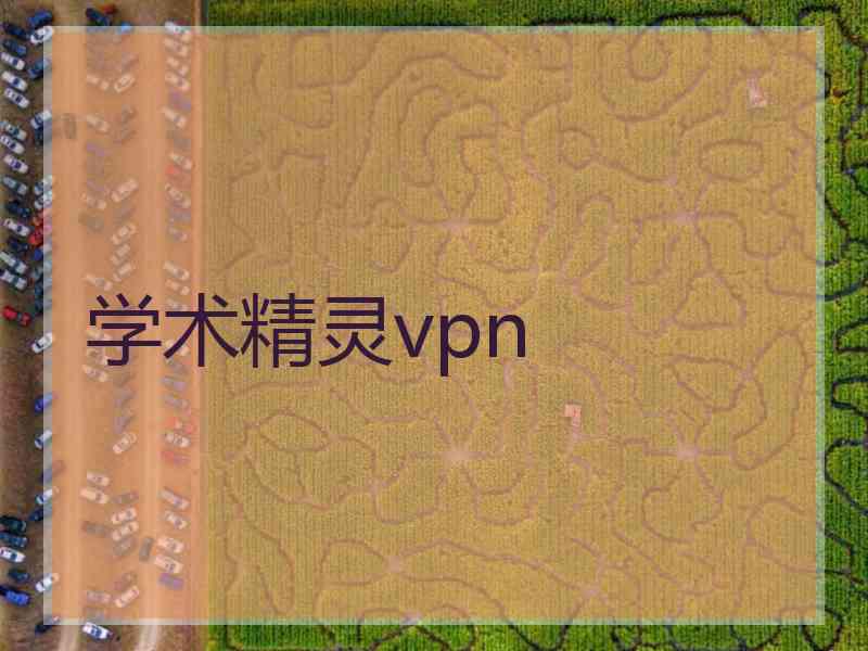 学术精灵vpn