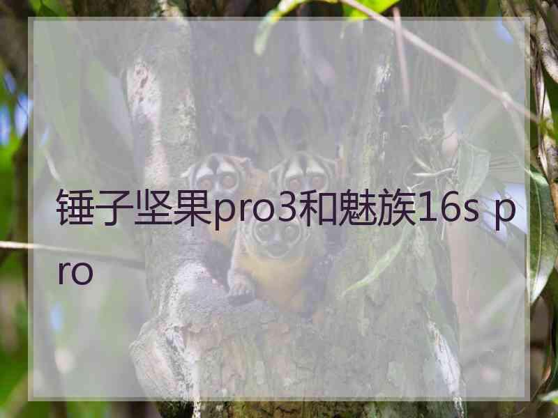 锤子坚果pro3和魅族16s pro