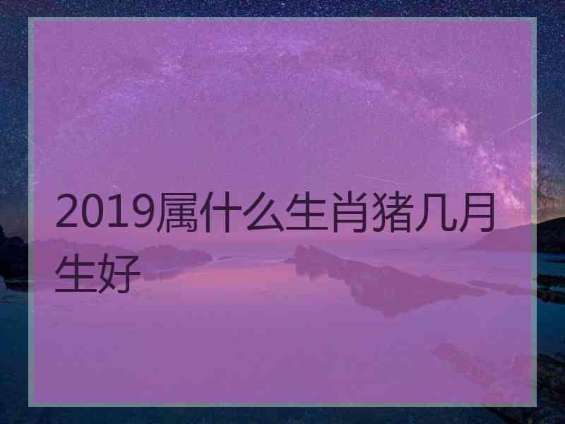 2019属什么生肖猪几月生好