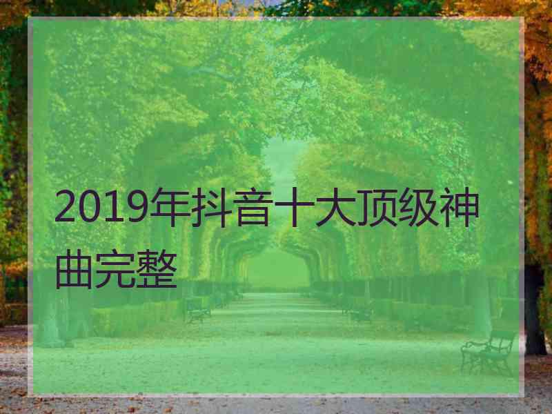 2019年抖音十大顶级神曲完整