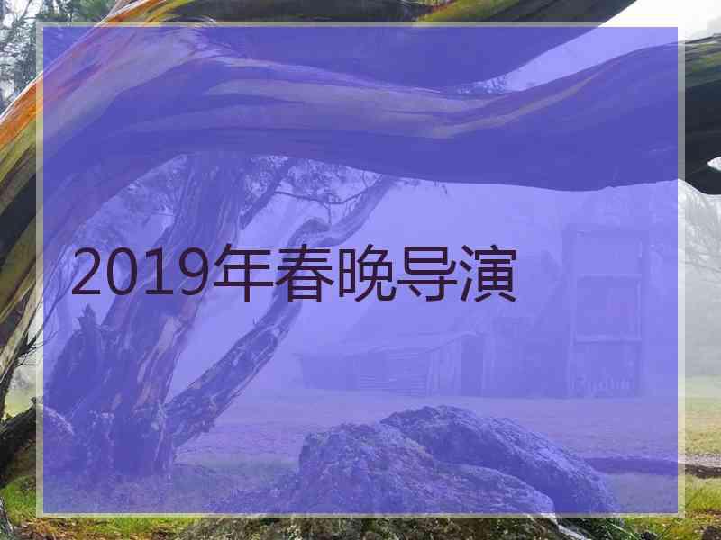 2019年春晚导演