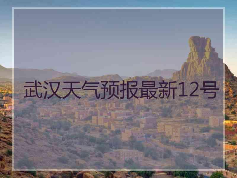 武汉天气预报最新12号