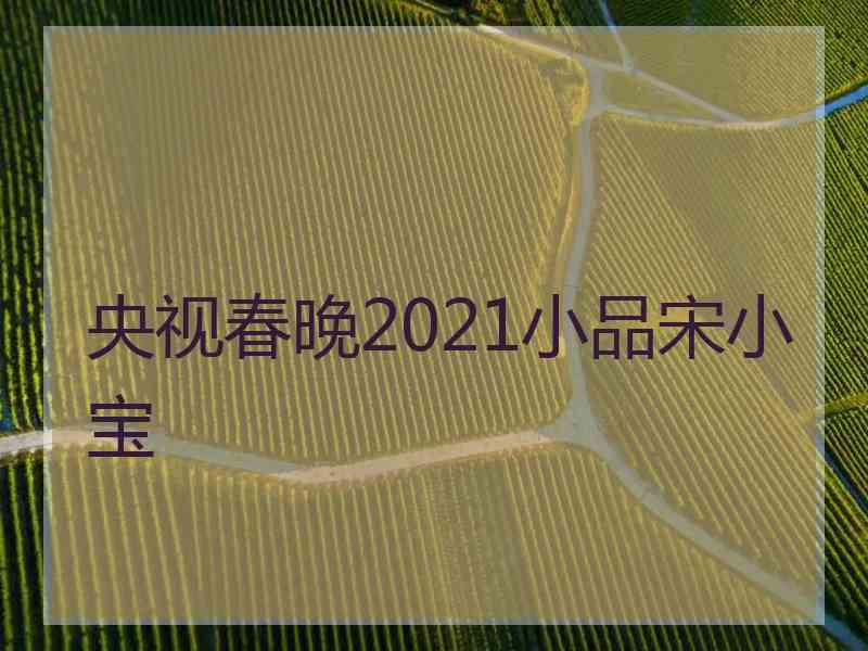 央视春晚2021小品宋小宝