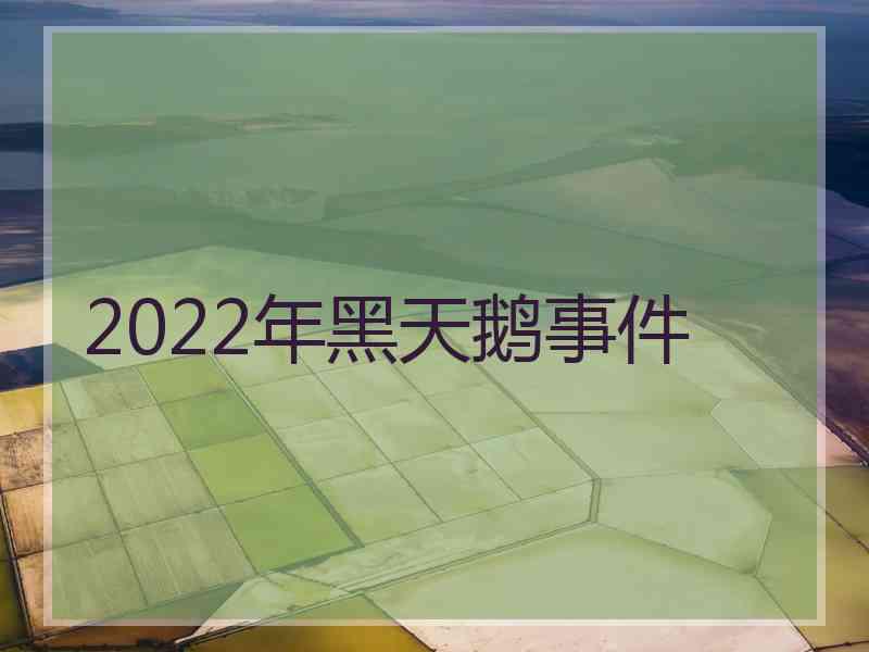 2022年黑天鹅事件