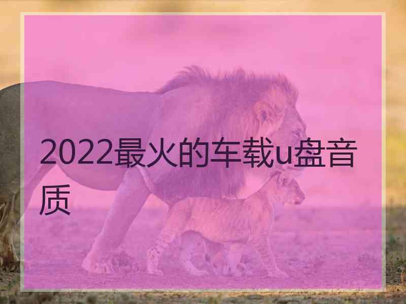 2022最火的车载u盘音质