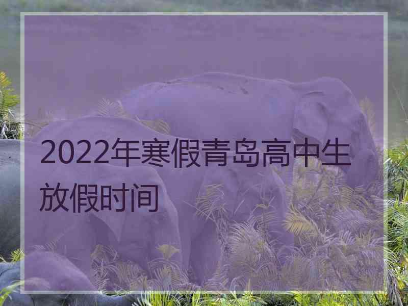 2022年寒假青岛高中生放假时间