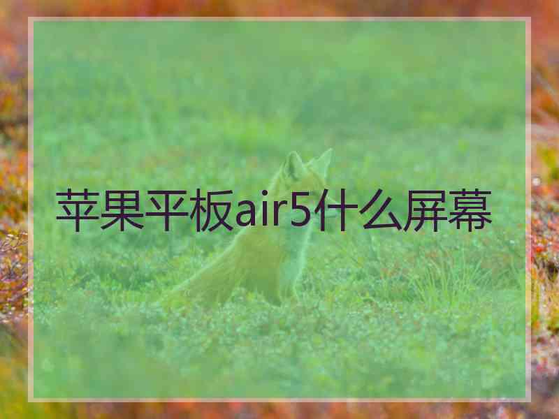 苹果平板air5什么屏幕