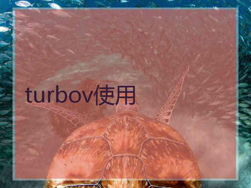 turbov使用