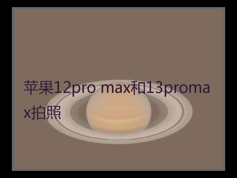 苹果12pro max和13promax拍照