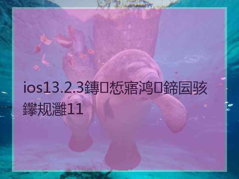 ios13.2.3鏄惁寤鸿鍗囩骇鑻规灉11