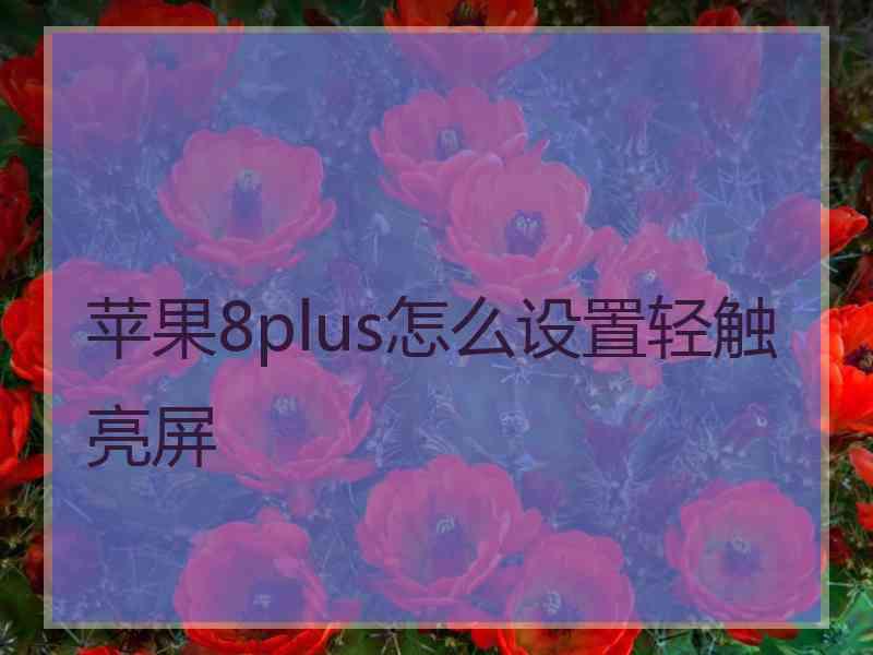 苹果8plus怎么设置轻触亮屏