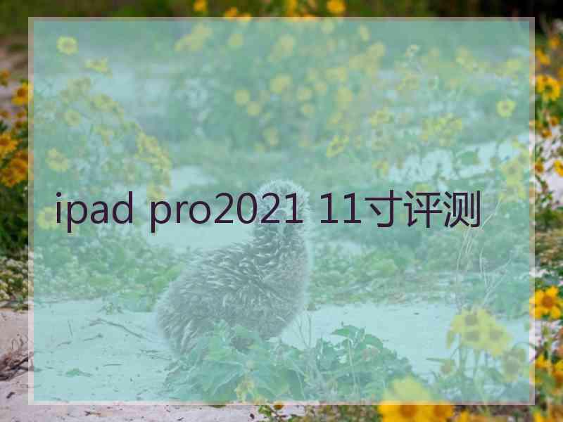 ipad pro2021 11寸评测