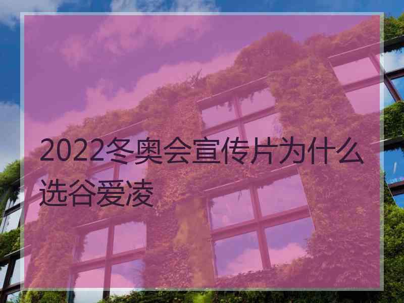 2022冬奥会宣传片为什么选谷爱凌