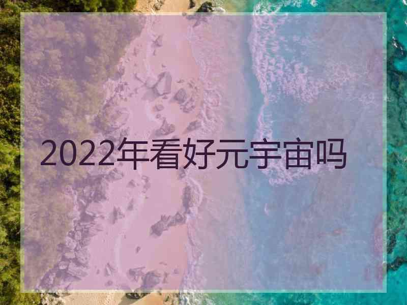 2022年看好元宇宙吗