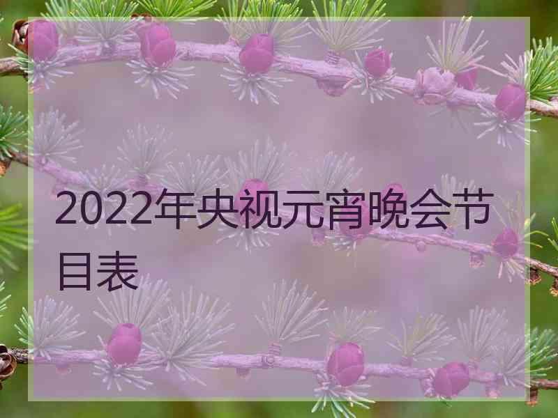 2022年央视元宵晚会节目表