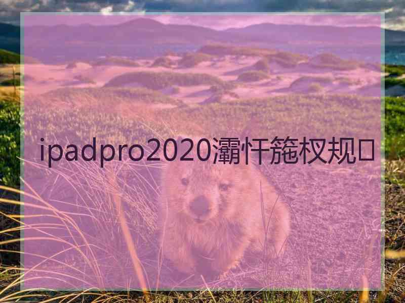 ipadpro2020灞忓箷杈规