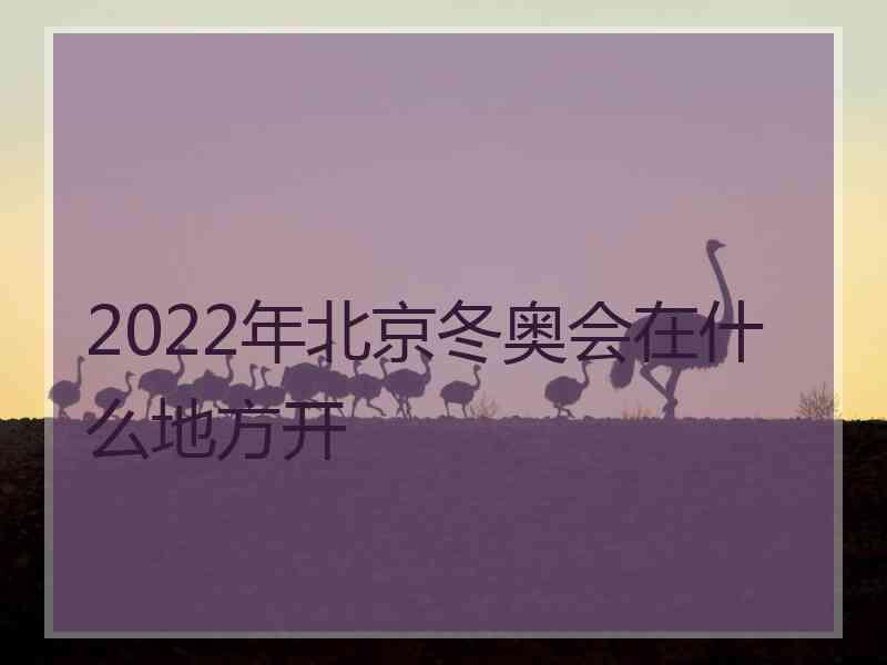 2022年北京冬奥会在什么地方开