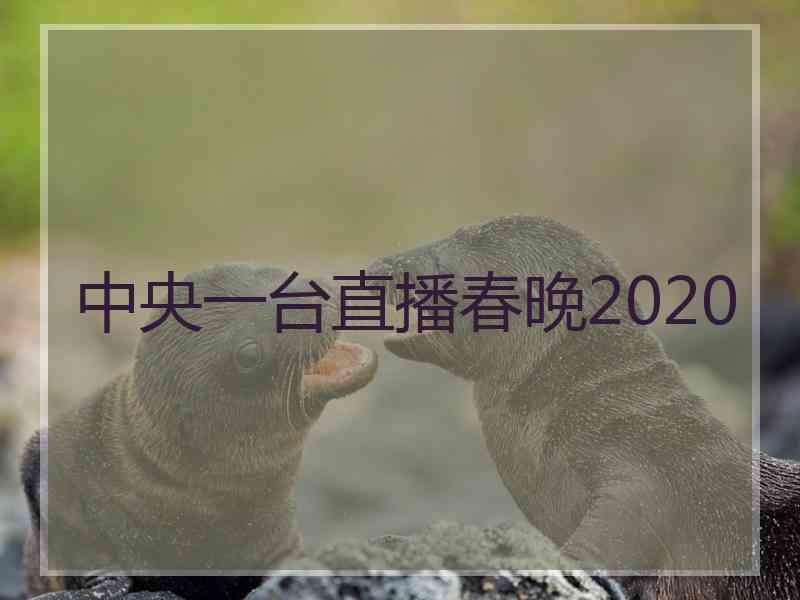 中央一台直播春晚2020