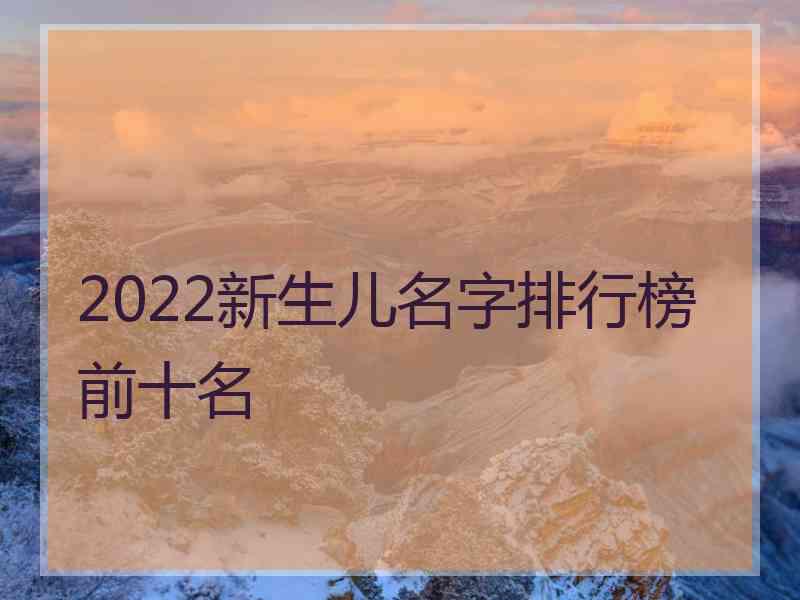 2022新生儿名字排行榜前十名