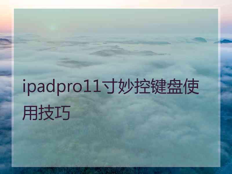 ipadpro11寸妙控键盘使用技巧